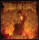 Cradle Of Filth