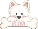 Kim dog bone