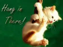 Hang In There!