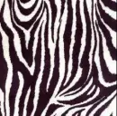 zibra background