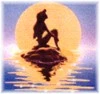 ariel on a rock