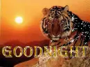 Goodnight