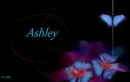 Butterflies-Ashley