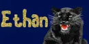Panther (black) Tag- Ethan
