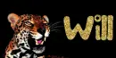 Jaguar Tag- Will