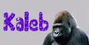 Gorilla Tag- Kaleb