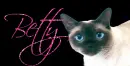 Siamese Cat (blue eyes) Tag- Betty