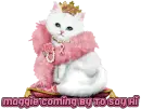 breast cancer awarness princess