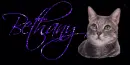Grey Tabby Cat Tag- Bethany