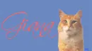 Orange Tabby Cat Tag- Giana