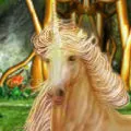 Magicaly Enchanted