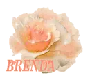 Brenda