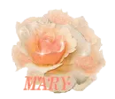 Mary
