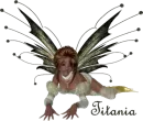 Fairy