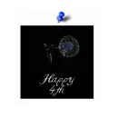 Happy 4th picture