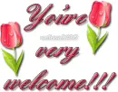 You're very welcome!