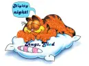 garfield