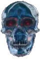 Chrome Skull 