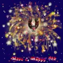 Fireworks/ American eagle. 