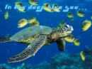 In the deep blue sea