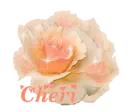 Cheri