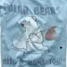 Polar Bears Need A Home Too!