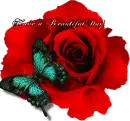 Have a beautiful day