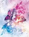 butterfly named britterfly