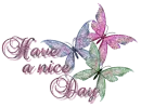 Sparkled Trio Butterflies - Have a Nice Day