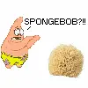 spongebob
