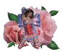 Fairy Pink Rose