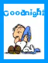 lionel and snoopy sleeping