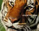 Eye of the Tiger