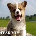 Fear Me!!!