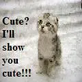 Cute?