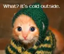 It's cold outside