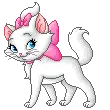 Playful Kitty
