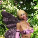 dreamer