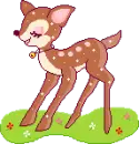 aaa cute