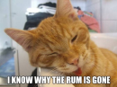 I Know Why The Rum IS Gone