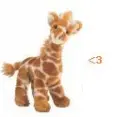 giraffe love