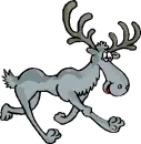 moose