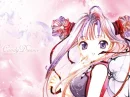 candy dreams