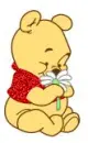 Pooh