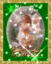 girl angel praying