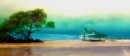 ocean shore. 
