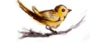 yellow birdy