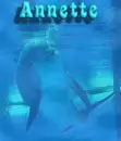 ANNETTE dolphins