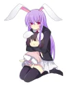 rabbit