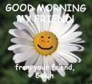 good morning